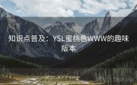 知识点普及：YSL蜜桃色WWW的趣味版本
