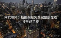 网友爆笑：插曲视频免费完整版在线播放成了梗