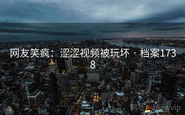 网友笑疯：涩涩视频被玩坏 · 档案1738