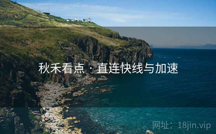 秋禾看点 · 直连快线与加速